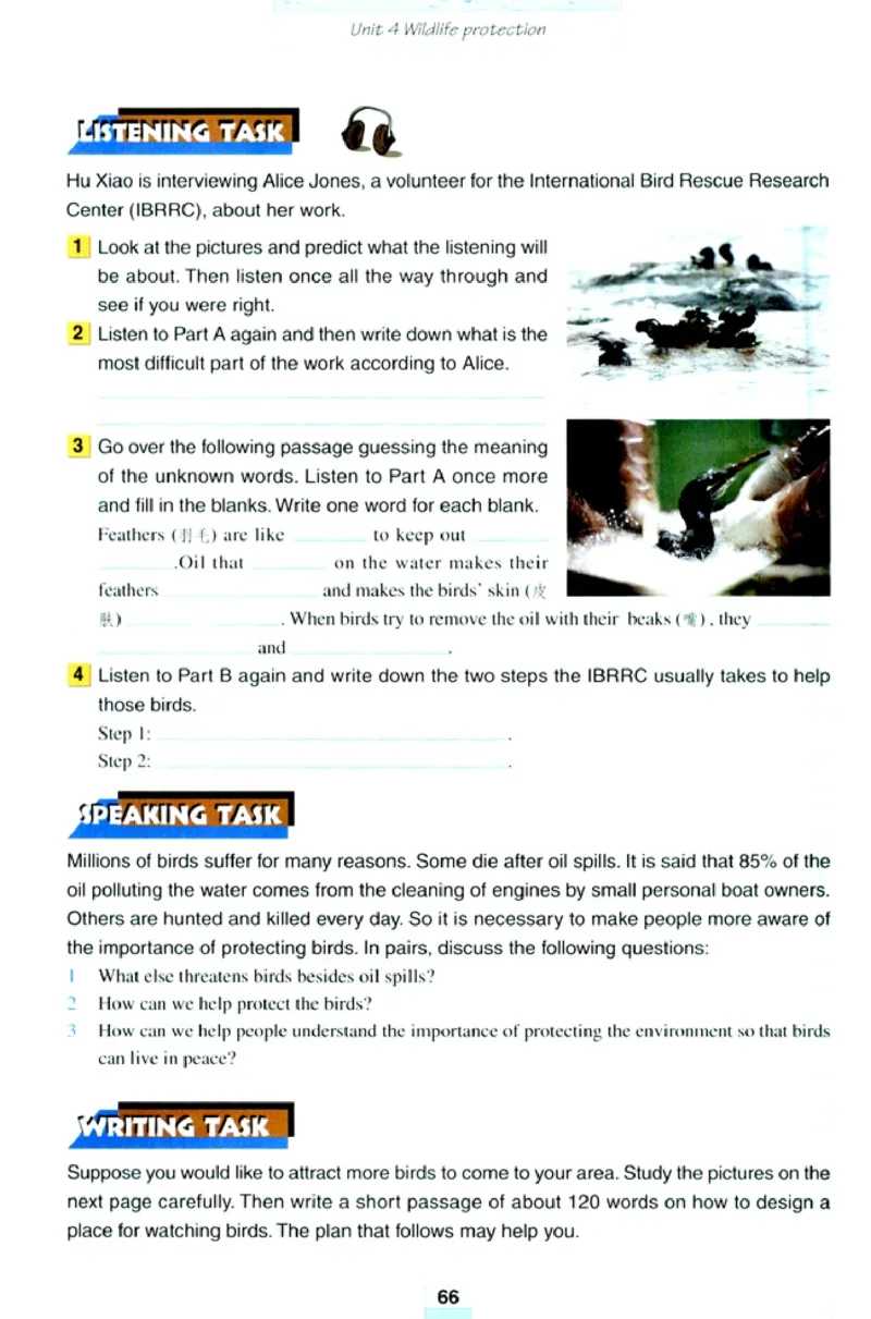 人教版高中英语必修2_4-教培资料-26年最新资料-同步更新_初中高中教资_03科三专项（进去保存报考的学科即可）_02科三专项（笔记真题思维导图教学设计版本二）
