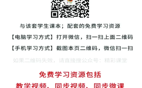 人美版美术选修2高清教材_4-教培资料-26年最新资料-同步更新_初中高中教资_03科三专项（进去保存报考的学科即可）_02科三专项（笔记真题思维导图教学设计版本二）