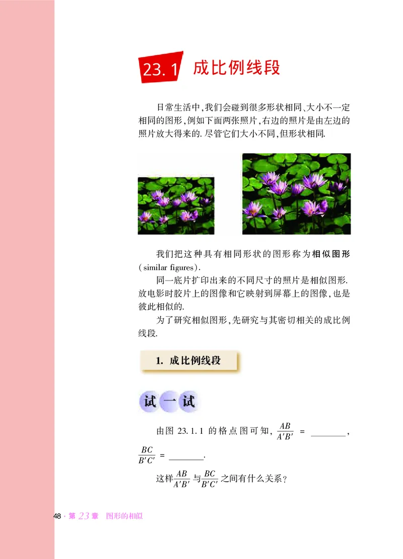 华师大9年级数学上册高清教材_4-教培资料-26年最新资料-同步更新_初中高中教资_03科三专项（进去保存报考的学科即可）_02科三专项（笔记真题思维导图教学设计版本二）