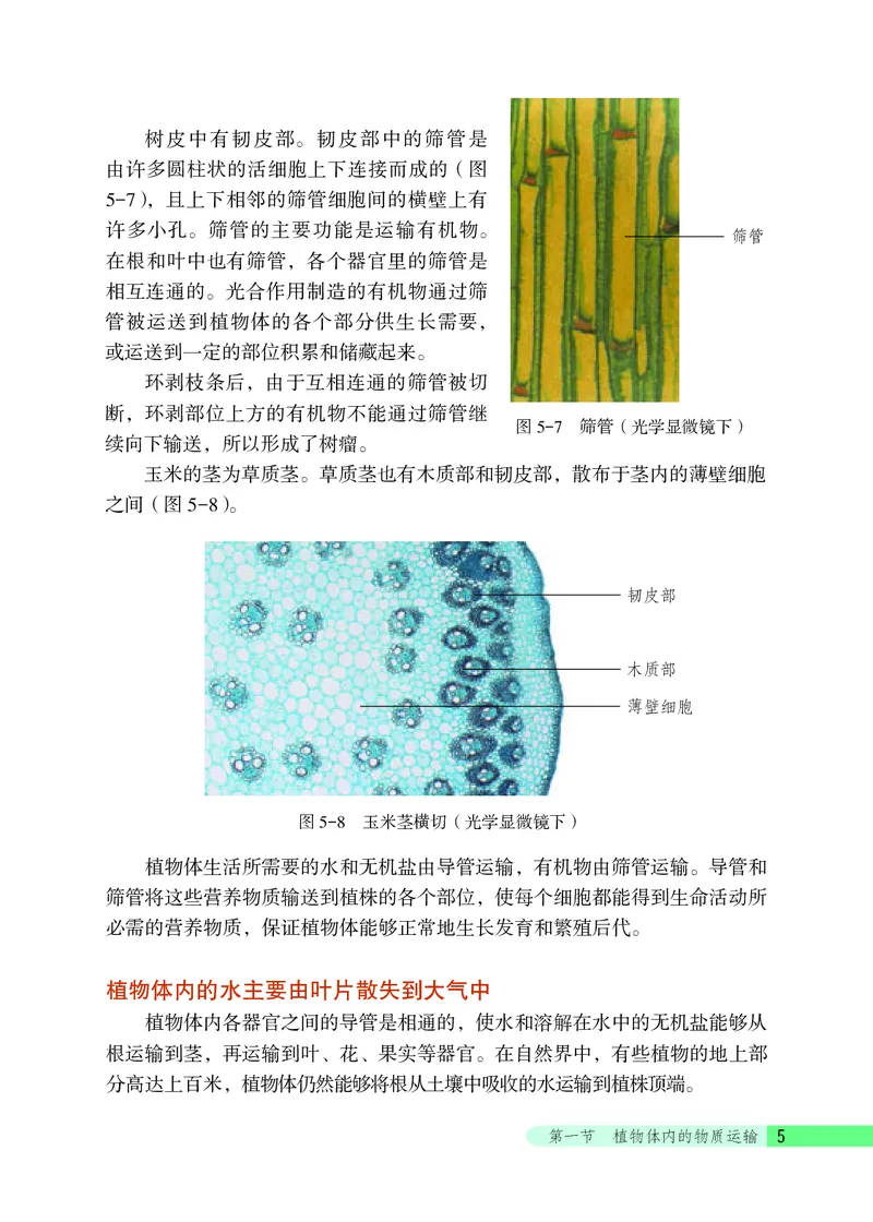 北京版7年级生物下册高清教材_4-教培资料-26年最新资料-同步更新_初中高中教资_03科三专项（进去保存报考的学科即可）_02科三专项（笔记真题思维导图教学设计版本二）