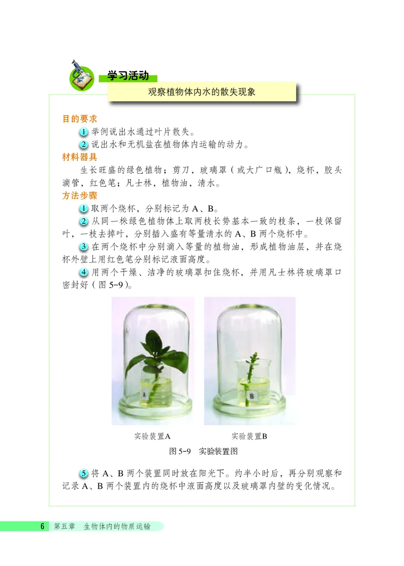 北京版7年级生物下册高清教材_4-教培资料-26年最新资料-同步更新_初中高中教资_03科三专项（进去保存报考的学科即可）_02科三专项（笔记真题思维导图教学设计版本二）