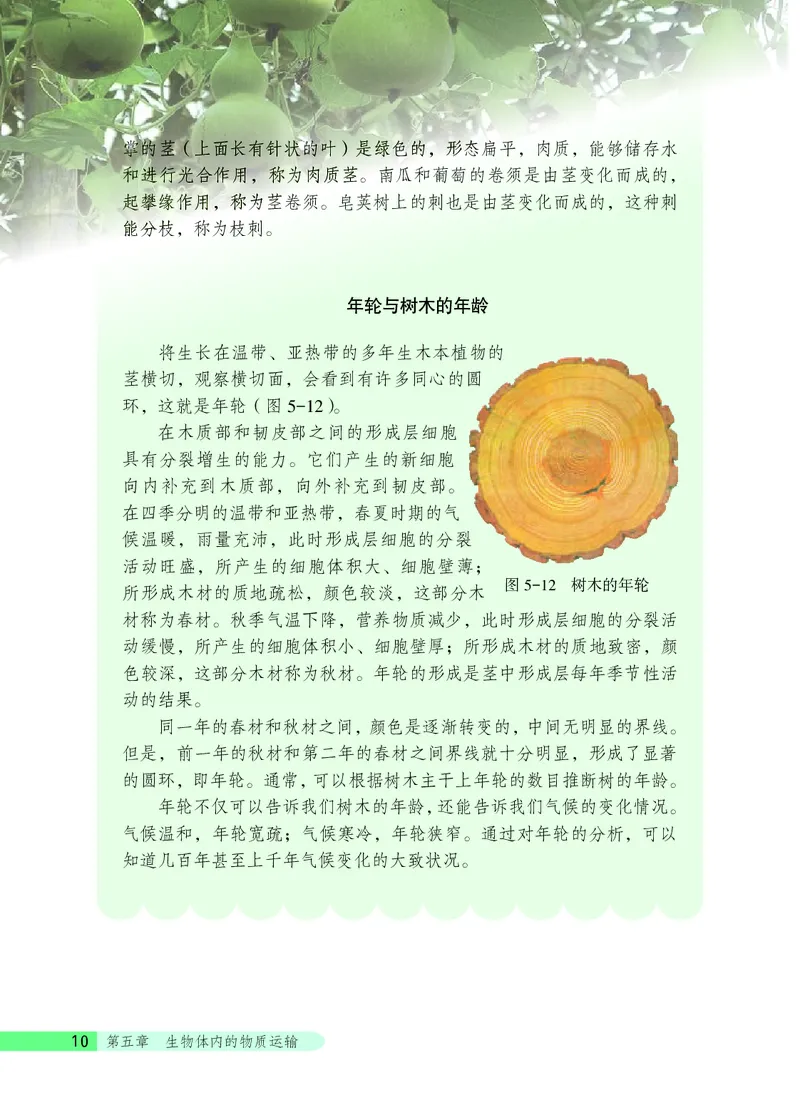 北京版7年级生物下册高清教材_4-教培资料-26年最新资料-同步更新_初中高中教资_03科三专项（进去保存报考的学科即可）_02科三专项（笔记真题思维导图教学设计版本二）