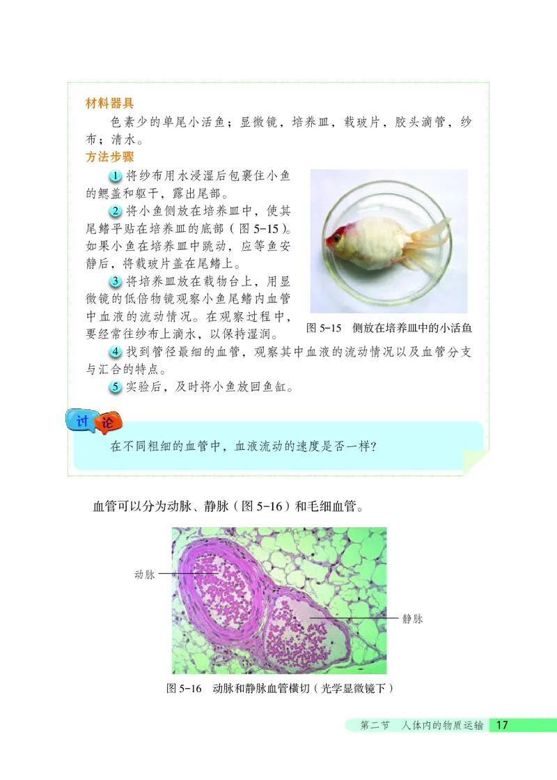 北京版7年级生物下册高清教材_4-教培资料-26年最新资料-同步更新_初中高中教资_03科三专项（进去保存报考的学科即可）_02科三专项（笔记真题思维导图教学设计版本二）