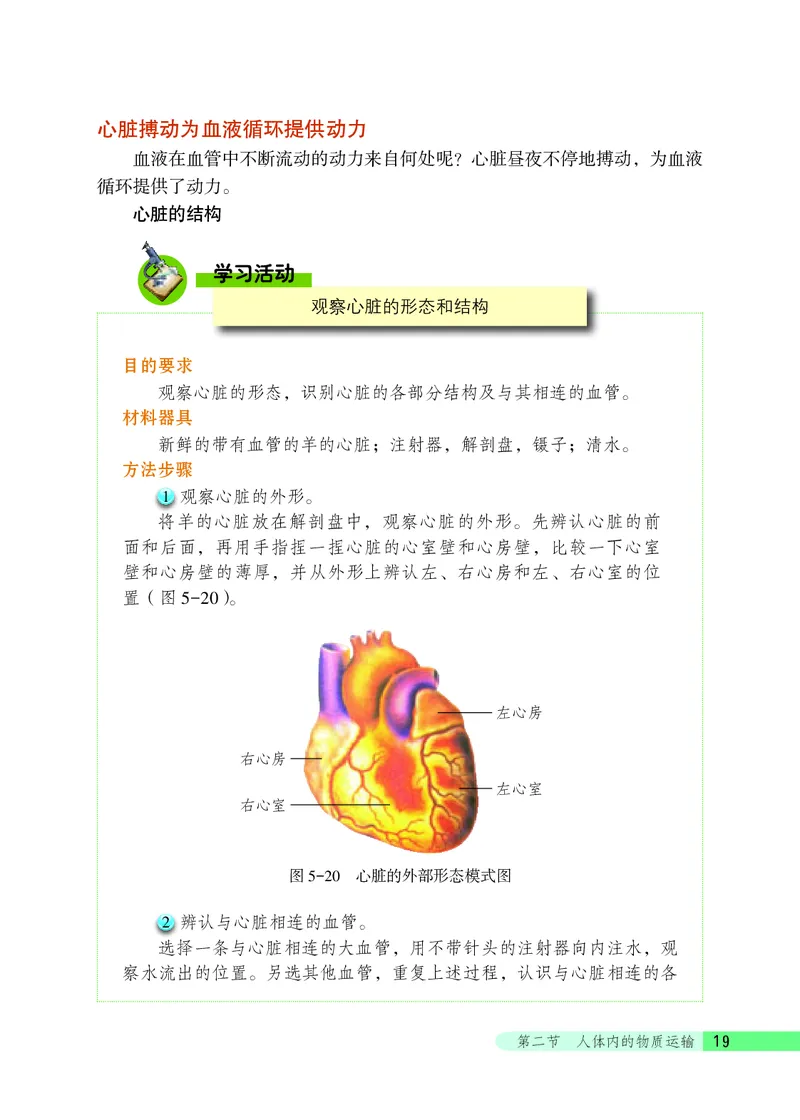 北京版7年级生物下册高清教材_4-教培资料-26年最新资料-同步更新_初中高中教资_03科三专项（进去保存报考的学科即可）_02科三专项（笔记真题思维导图教学设计版本二）