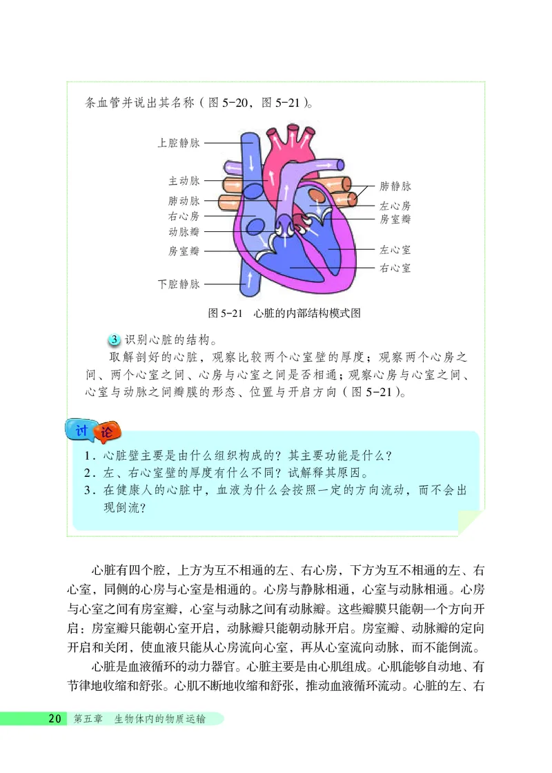 北京版7年级生物下册高清教材_4-教培资料-26年最新资料-同步更新_初中高中教资_03科三专项（进去保存报考的学科即可）_02科三专项（笔记真题思维导图教学设计版本二）