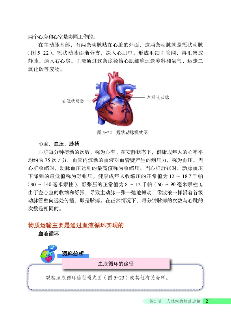 北京版7年级生物下册高清教材_4-教培资料-26年最新资料-同步更新_初中高中教资_03科三专项（进去保存报考的学科即可）_02科三专项（笔记真题思维导图教学设计版本二）