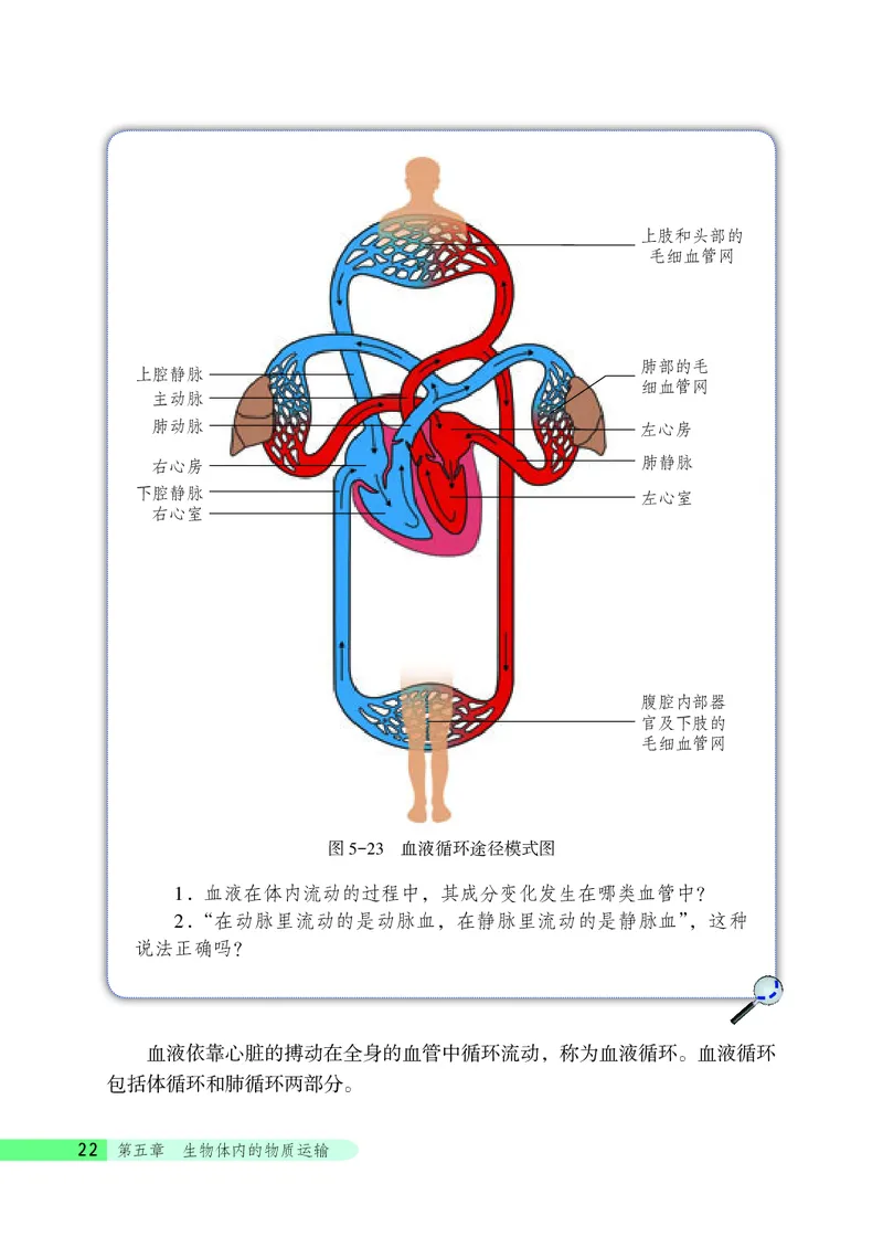 北京版7年级生物下册高清教材_4-教培资料-26年最新资料-同步更新_初中高中教资_03科三专项（进去保存报考的学科即可）_02科三专项（笔记真题思维导图教学设计版本二）