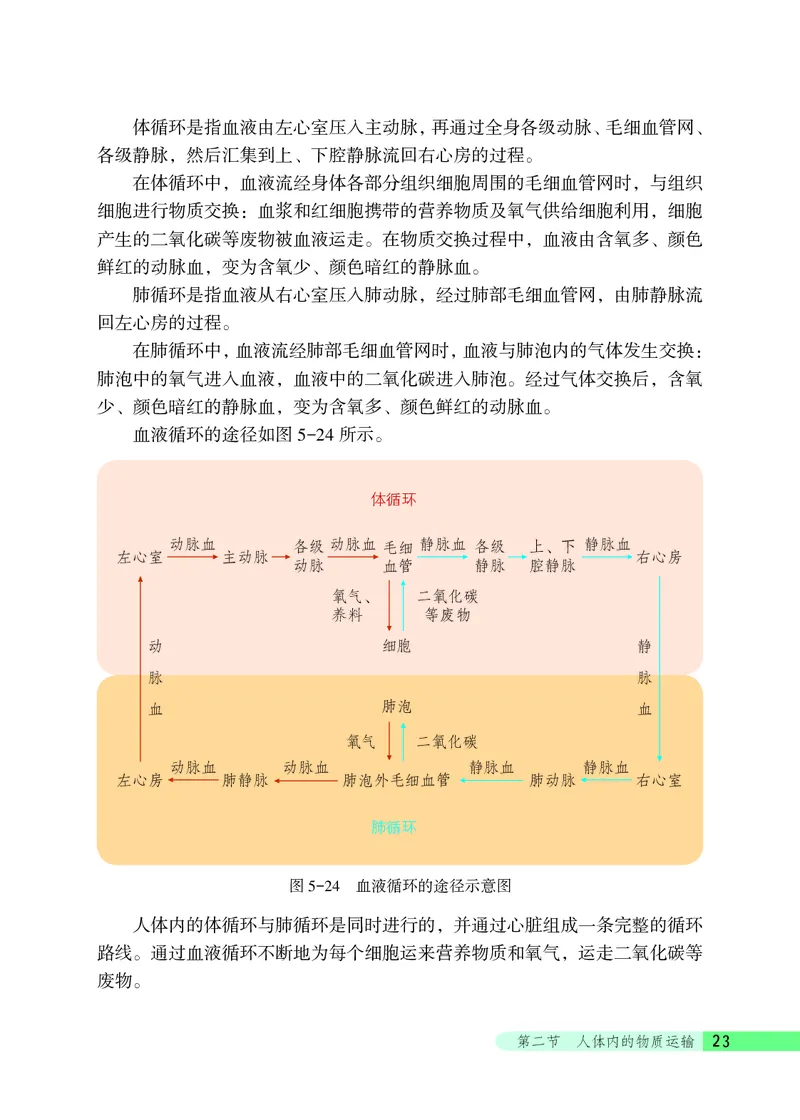 北京版7年级生物下册高清教材_4-教培资料-26年最新资料-同步更新_初中高中教资_03科三专项（进去保存报考的学科即可）_02科三专项（笔记真题思维导图教学设计版本二）