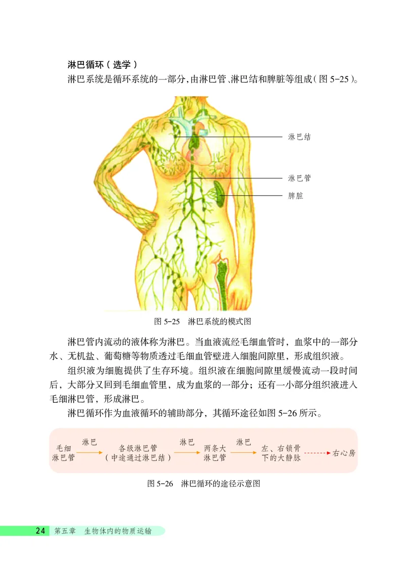 北京版7年级生物下册高清教材_4-教培资料-26年最新资料-同步更新_初中高中教资_03科三专项（进去保存报考的学科即可）_02科三专项（笔记真题思维导图教学设计版本二）