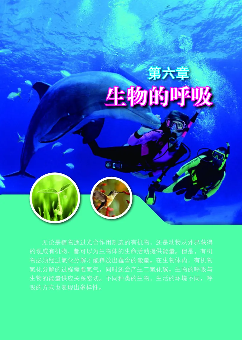 北京版7年级生物下册高清教材_4-教培资料-26年最新资料-同步更新_初中高中教资_03科三专项（进去保存报考的学科即可）_02科三专项（笔记真题思维导图教学设计版本二）
