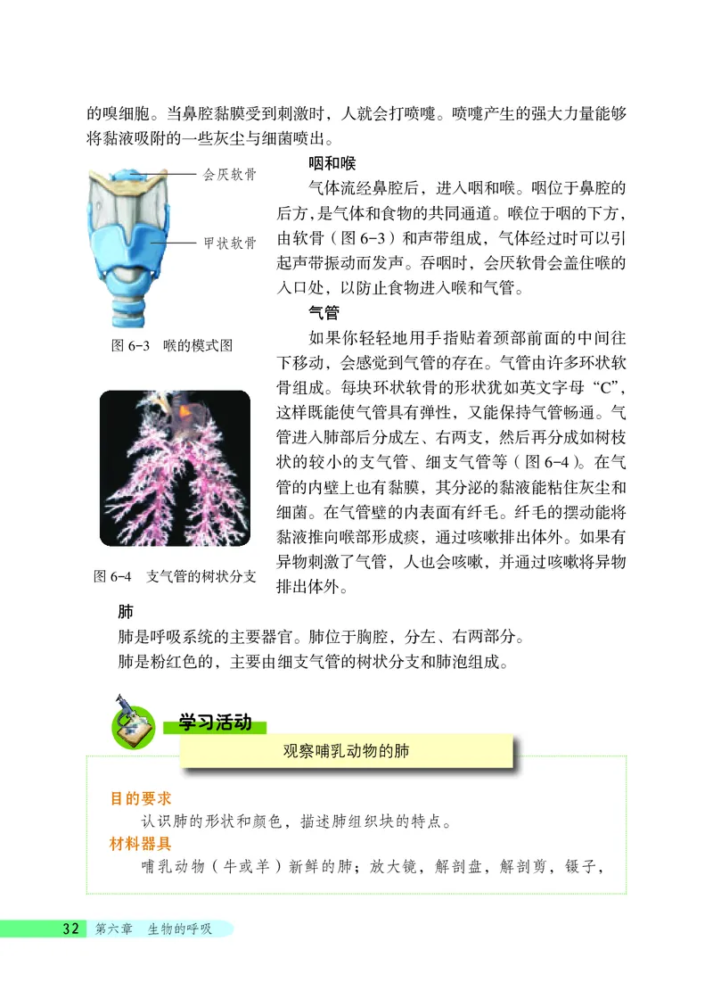 北京版7年级生物下册高清教材_4-教培资料-26年最新资料-同步更新_初中高中教资_03科三专项（进去保存报考的学科即可）_02科三专项（笔记真题思维导图教学设计版本二）