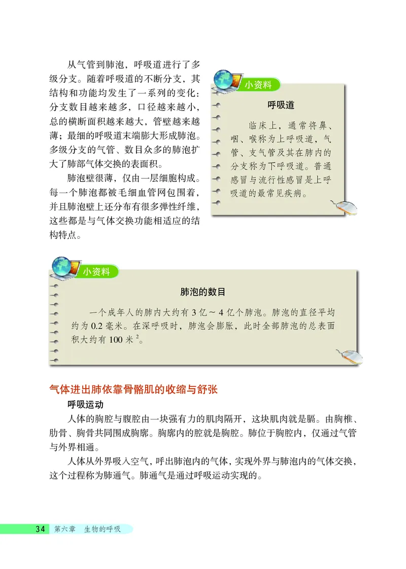 北京版7年级生物下册高清教材_4-教培资料-26年最新资料-同步更新_初中高中教资_03科三专项（进去保存报考的学科即可）_02科三专项（笔记真题思维导图教学设计版本二）