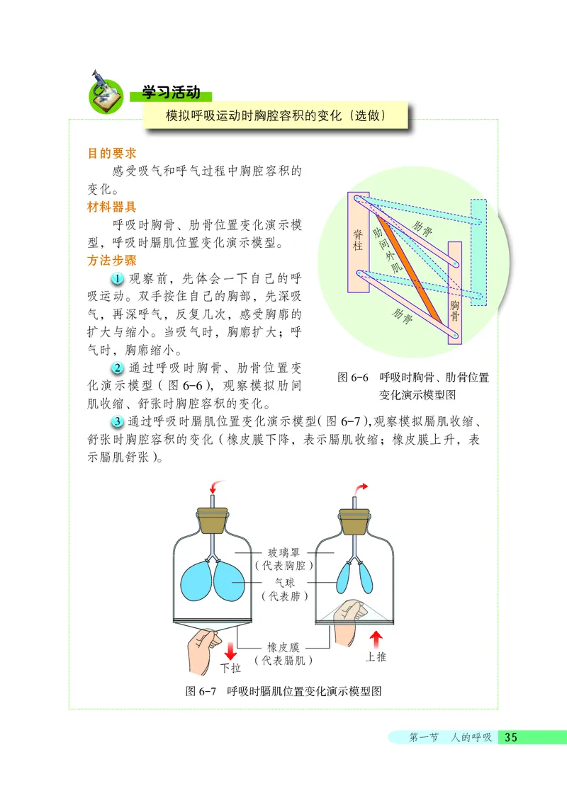 北京版7年级生物下册高清教材_4-教培资料-26年最新资料-同步更新_初中高中教资_03科三专项（进去保存报考的学科即可）_02科三专项（笔记真题思维导图教学设计版本二）
