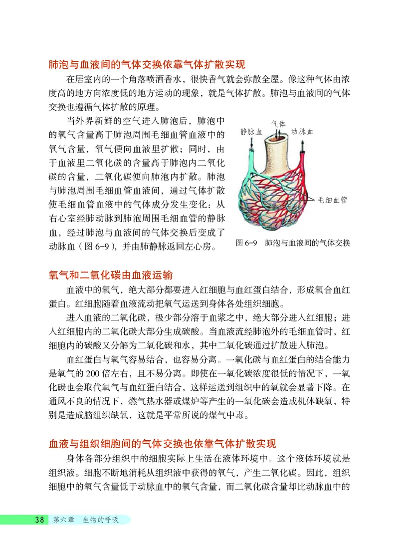 北京版7年级生物下册高清教材_4-教培资料-26年最新资料-同步更新_初中高中教资_03科三专项（进去保存报考的学科即可）_02科三专项（笔记真题思维导图教学设计版本二）