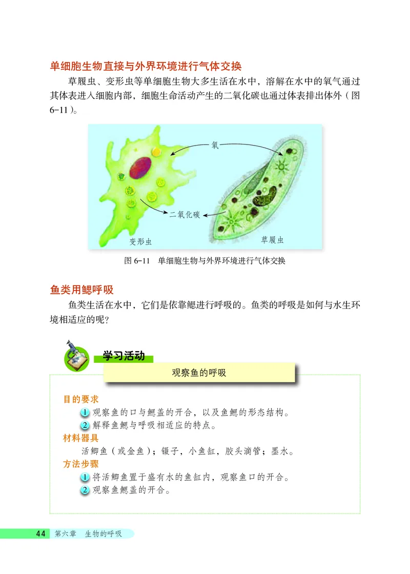 北京版7年级生物下册高清教材_4-教培资料-26年最新资料-同步更新_初中高中教资_03科三专项（进去保存报考的学科即可）_02科三专项（笔记真题思维导图教学设计版本二）