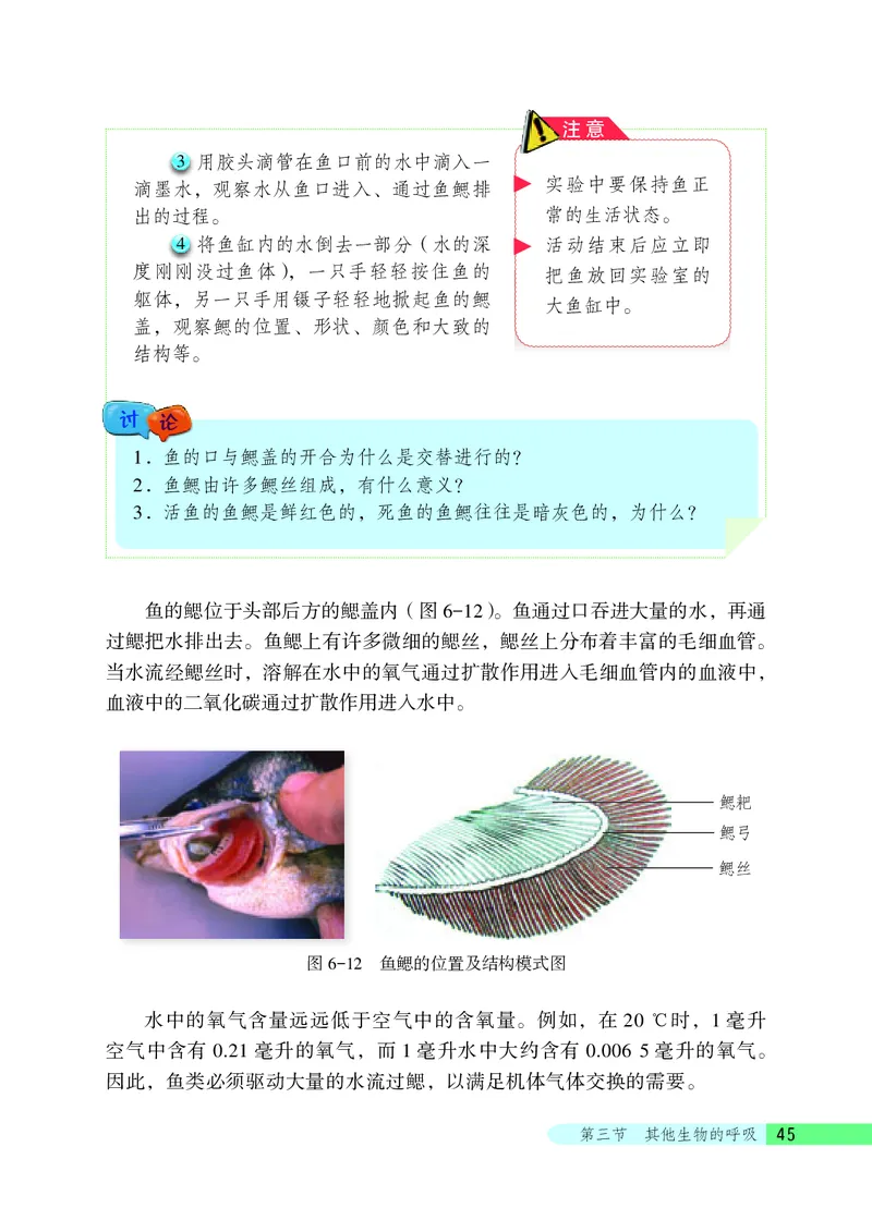 北京版7年级生物下册高清教材_4-教培资料-26年最新资料-同步更新_初中高中教资_03科三专项（进去保存报考的学科即可）_02科三专项（笔记真题思维导图教学设计版本二）