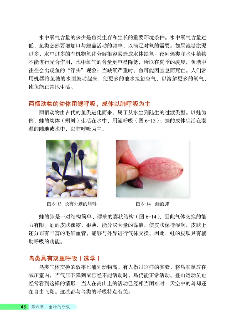 北京版7年级生物下册高清教材_4-教培资料-26年最新资料-同步更新_初中高中教资_03科三专项（进去保存报考的学科即可）_02科三专项（笔记真题思维导图教学设计版本二）