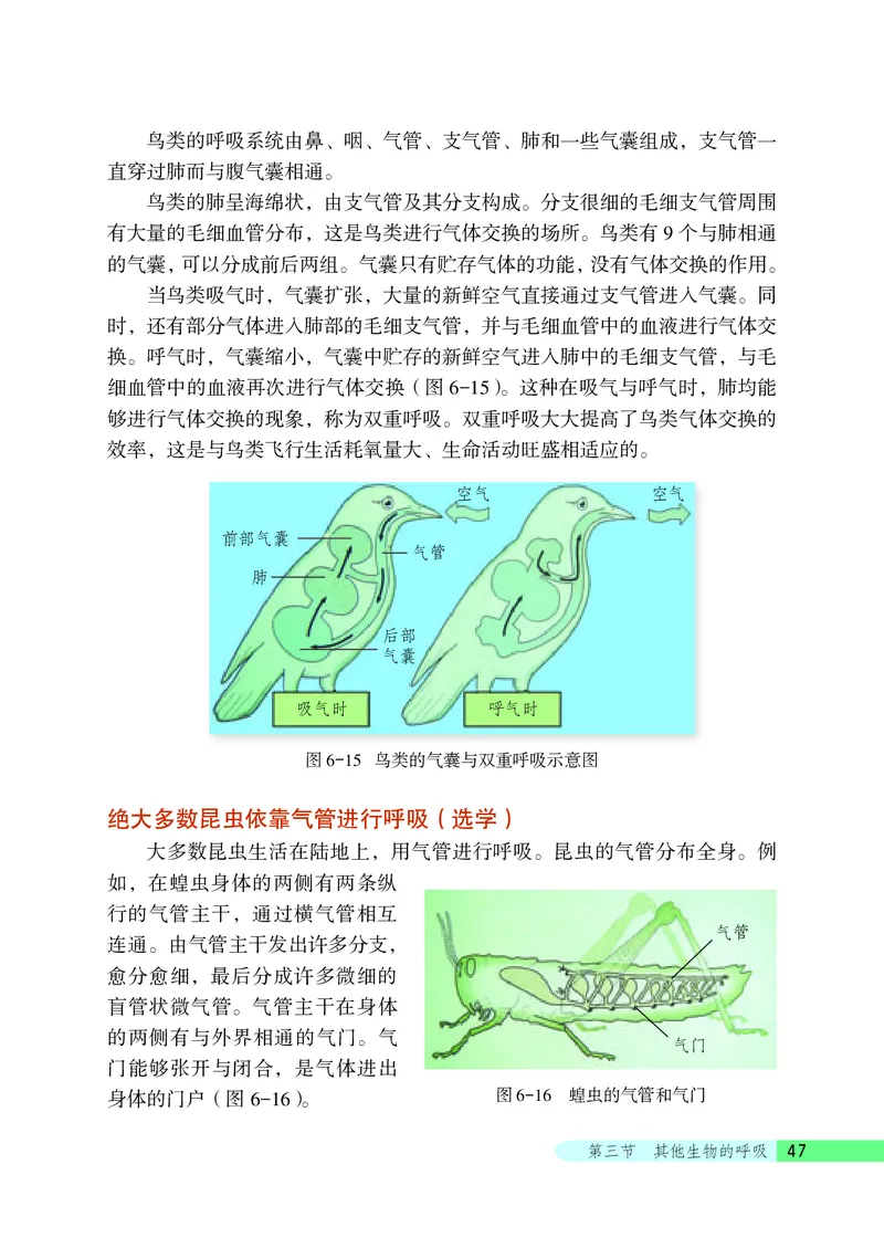 北京版7年级生物下册高清教材_4-教培资料-26年最新资料-同步更新_初中高中教资_03科三专项（进去保存报考的学科即可）_02科三专项（笔记真题思维导图教学设计版本二）