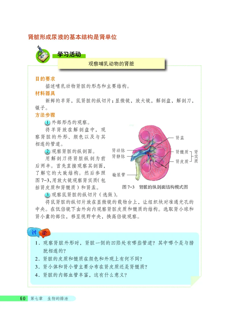 北京版7年级生物下册高清教材_4-教培资料-26年最新资料-同步更新_初中高中教资_03科三专项（进去保存报考的学科即可）_02科三专项（笔记真题思维导图教学设计版本二）