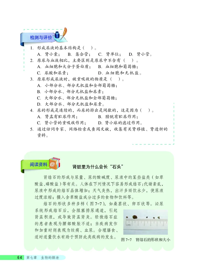 北京版7年级生物下册高清教材_4-教培资料-26年最新资料-同步更新_初中高中教资_03科三专项（进去保存报考的学科即可）_02科三专项（笔记真题思维导图教学设计版本二）