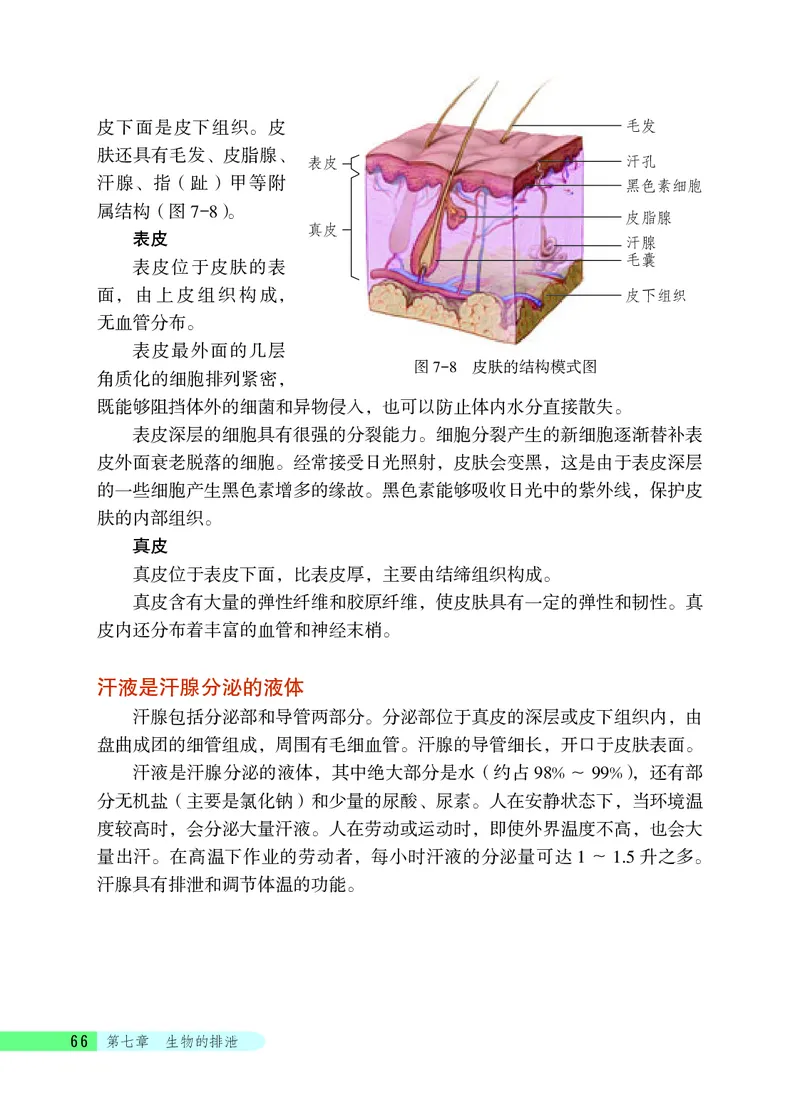 北京版7年级生物下册高清教材_4-教培资料-26年最新资料-同步更新_初中高中教资_03科三专项（进去保存报考的学科即可）_02科三专项（笔记真题思维导图教学设计版本二）