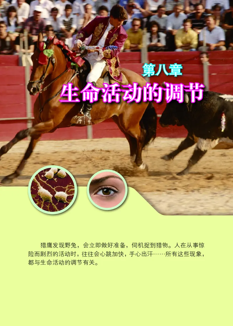 北京版7年级生物下册高清教材_4-教培资料-26年最新资料-同步更新_初中高中教资_03科三专项（进去保存报考的学科即可）_02科三专项（笔记真题思维导图教学设计版本二）