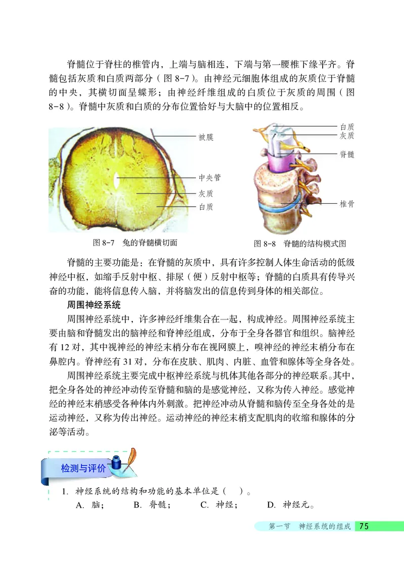 北京版7年级生物下册高清教材_4-教培资料-26年最新资料-同步更新_初中高中教资_03科三专项（进去保存报考的学科即可）_02科三专项（笔记真题思维导图教学设计版本二）