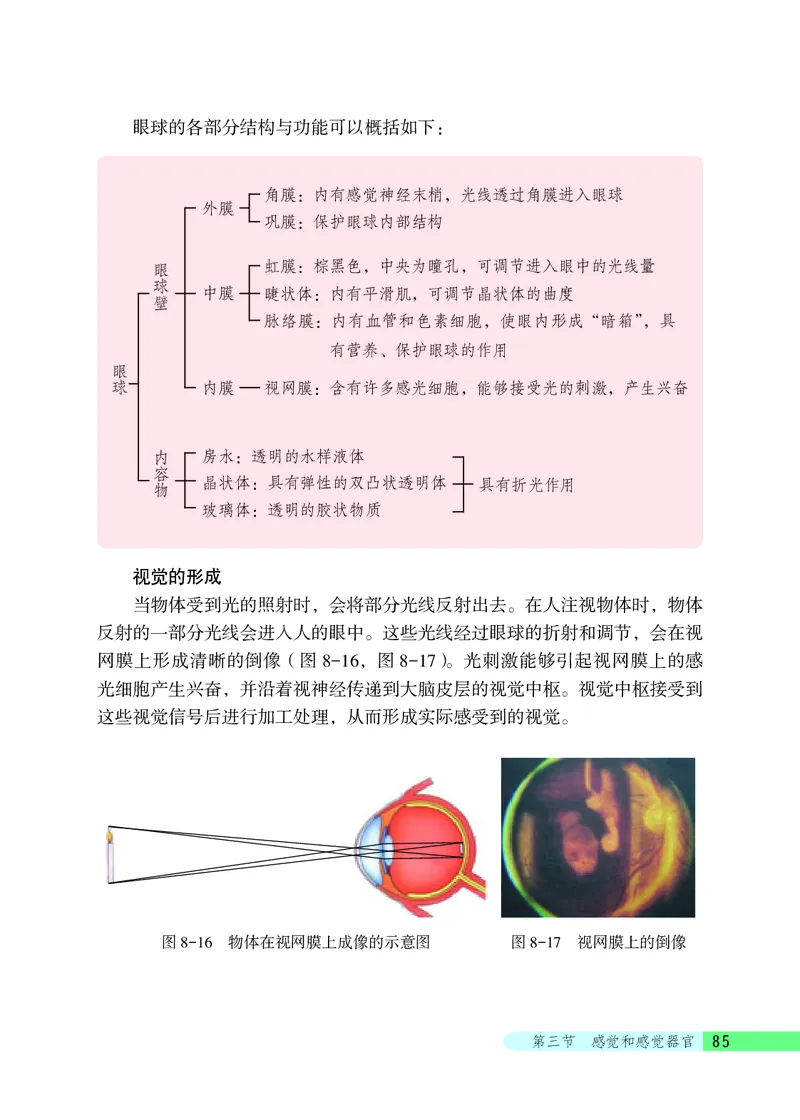 北京版7年级生物下册高清教材_4-教培资料-26年最新资料-同步更新_初中高中教资_03科三专项（进去保存报考的学科即可）_02科三专项（笔记真题思维导图教学设计版本二）