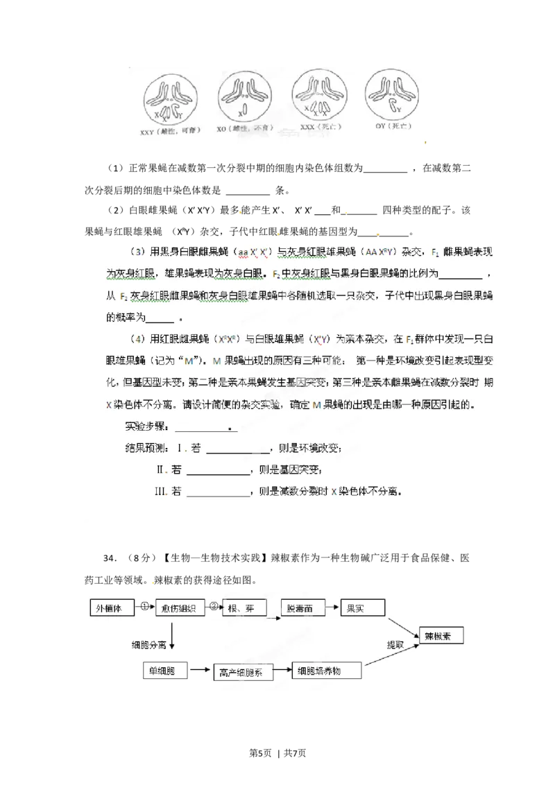 2012年高考生物试卷（山东）（空白卷）_1.高考2025全国各省真题+答案_01.2008-2024全国高考真题（按省份分类）_15.山东_2008-2024&middot;（山东）生物高考真题