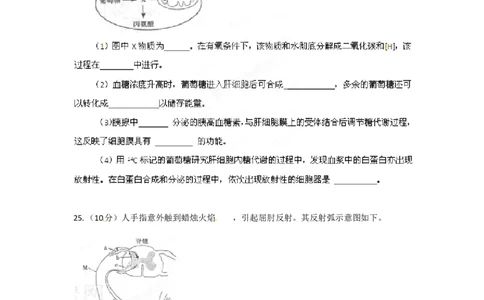 2012年高考生物试卷（山东）（空白卷）_1.高考2025全国各省真题+答案_01.2008-2024全国高考真题（按省份分类）_15.山东_2008-2024&middot;（山东）生物高考真题