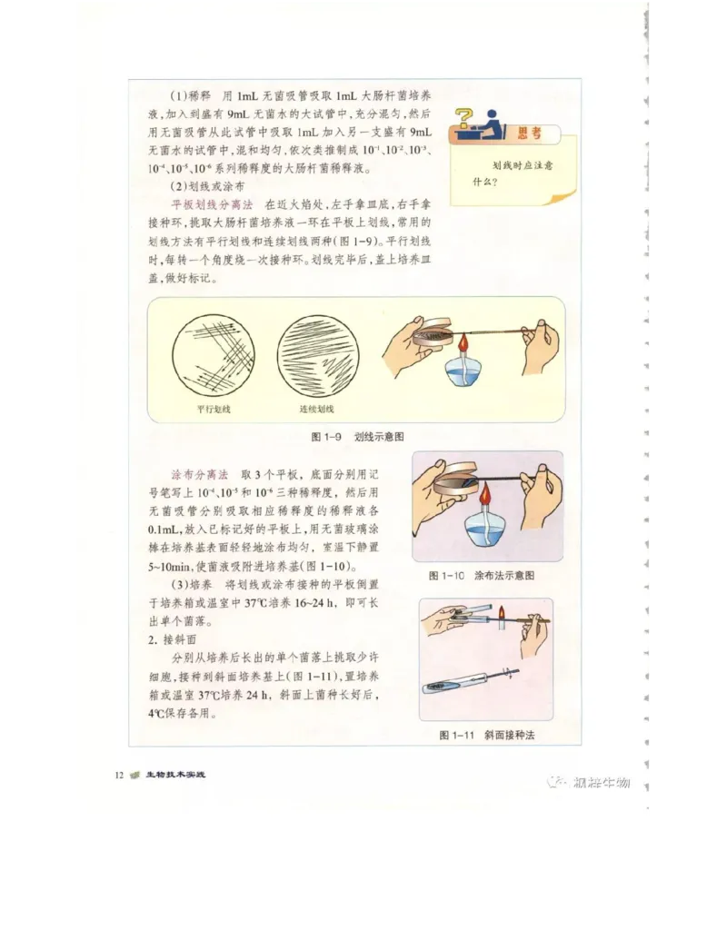 北师大版高中生物选修1电子课本_4-教培资料-26年最新资料-同步更新_初中高中教资_03科三专项（进去保存报考的学科即可）_02科三专项（笔记真题思维导图教学设计版本二）