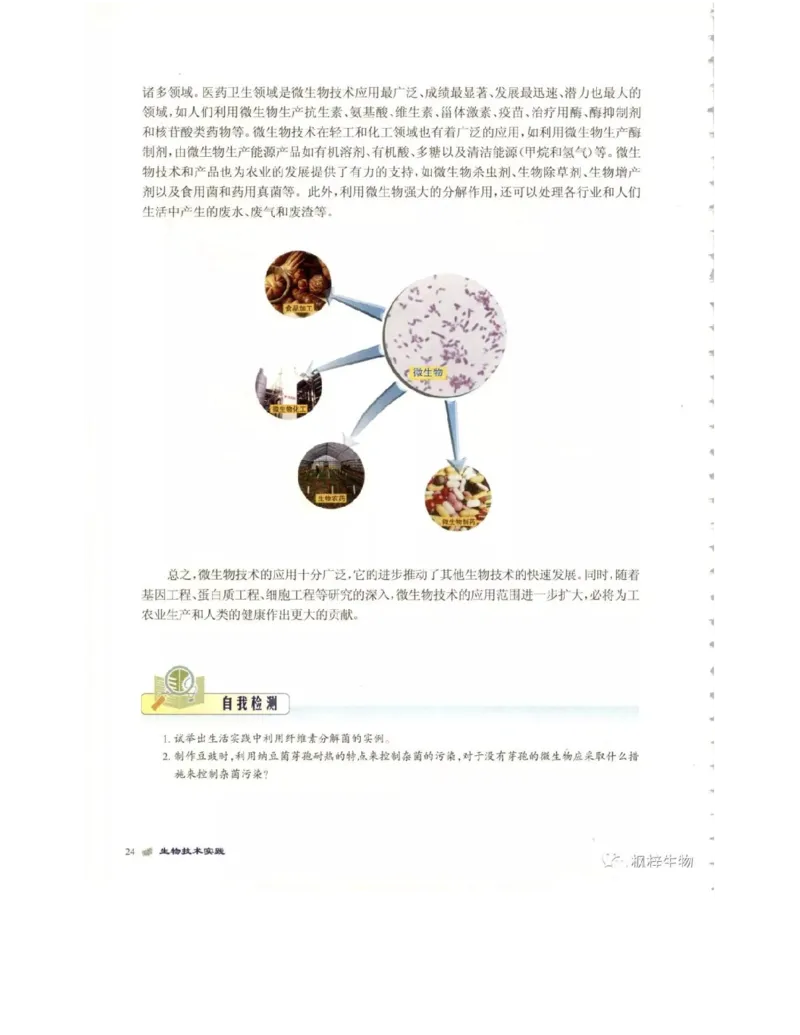 北师大版高中生物选修1电子课本_4-教培资料-26年最新资料-同步更新_初中高中教资_03科三专项（进去保存报考的学科即可）_02科三专项（笔记真题思维导图教学设计版本二）
