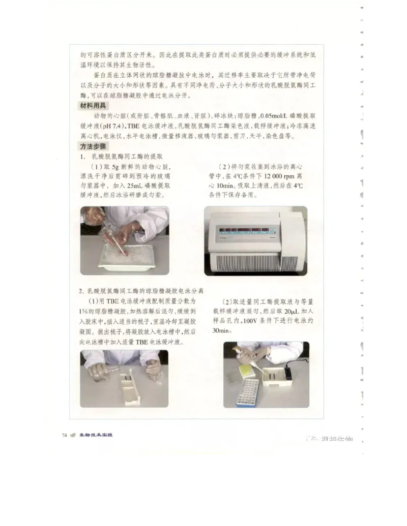 北师大版高中生物选修1电子课本_4-教培资料-26年最新资料-同步更新_初中高中教资_03科三专项（进去保存报考的学科即可）_02科三专项（笔记真题思维导图教学设计版本二）