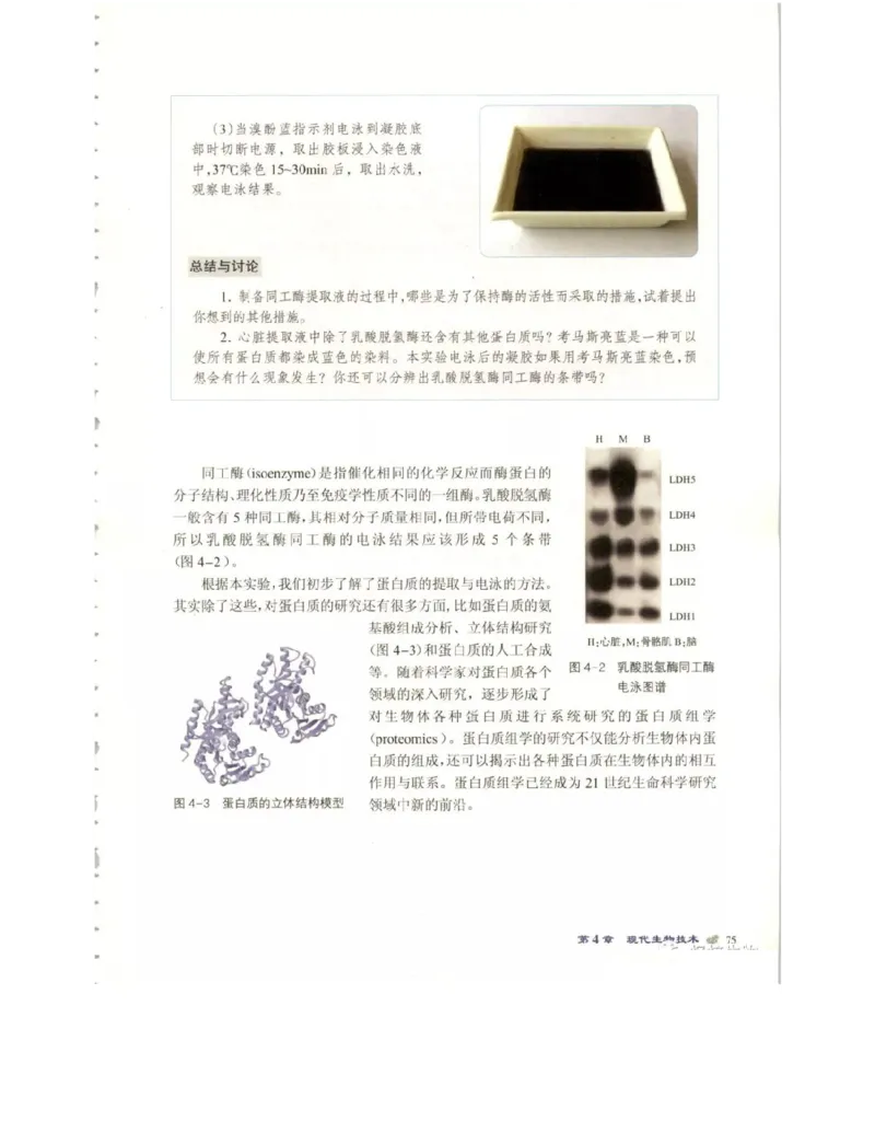 北师大版高中生物选修1电子课本_4-教培资料-26年最新资料-同步更新_初中高中教资_03科三专项（进去保存报考的学科即可）_02科三专项（笔记真题思维导图教学设计版本二）