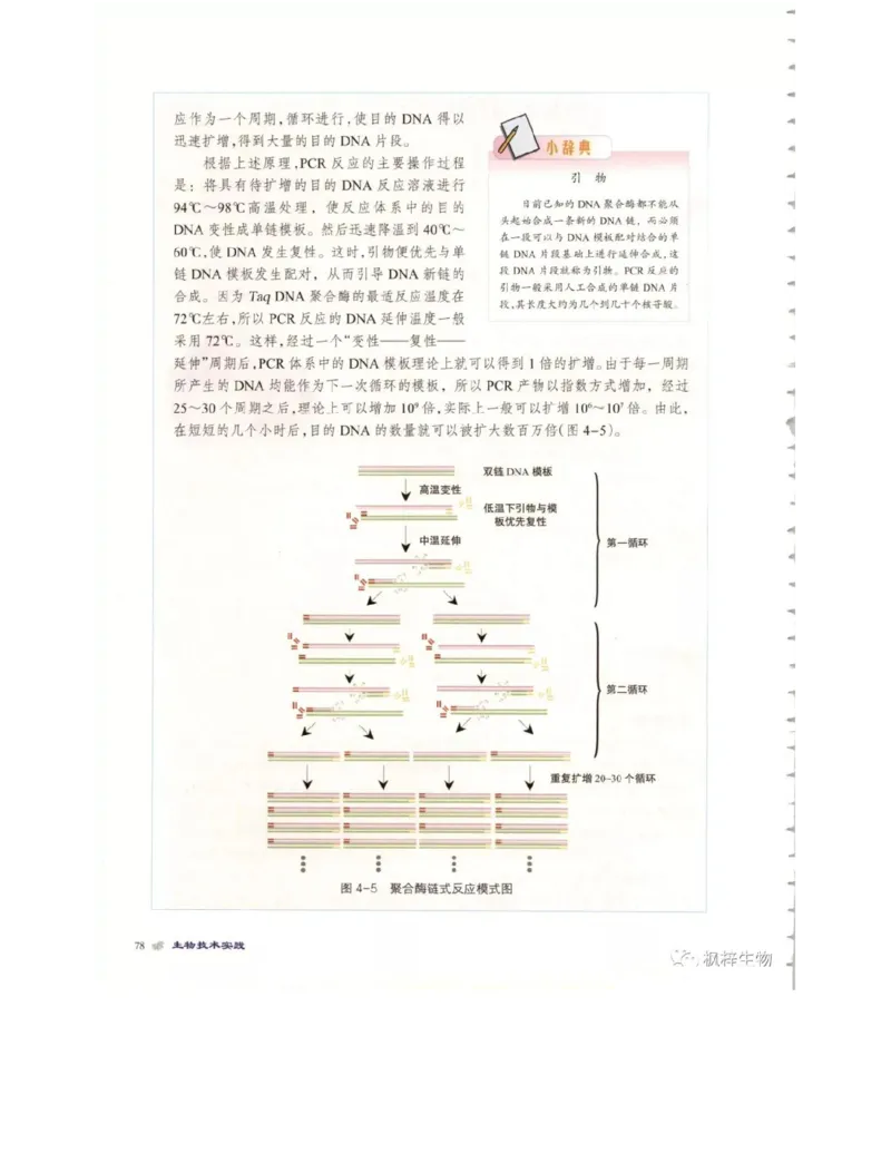 北师大版高中生物选修1电子课本_4-教培资料-26年最新资料-同步更新_初中高中教资_03科三专项（进去保存报考的学科即可）_02科三专项（笔记真题思维导图教学设计版本二）