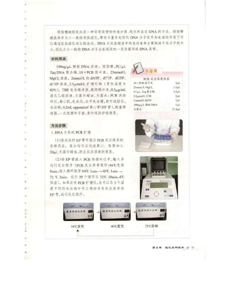 北师大版高中生物选修1电子课本_4-教培资料-26年最新资料-同步更新_初中高中教资_03科三专项（进去保存报考的学科即可）_02科三专项（笔记真题思维导图教学设计版本二）