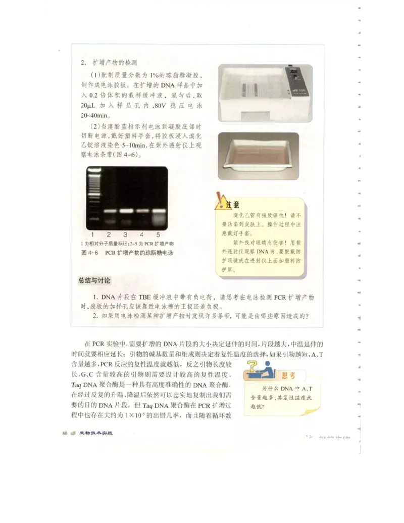 北师大版高中生物选修1电子课本_4-教培资料-26年最新资料-同步更新_初中高中教资_03科三专项（进去保存报考的学科即可）_02科三专项（笔记真题思维导图教学设计版本二）