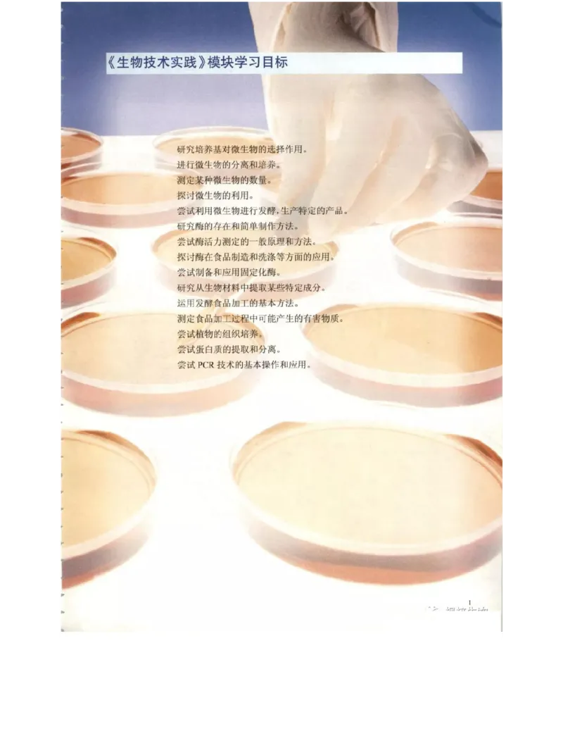 北师大版高中生物选修1电子课本_4-教培资料-26年最新资料-同步更新_初中高中教资_03科三专项（进去保存报考的学科即可）_02科三专项（笔记真题思维导图教学设计版本二）