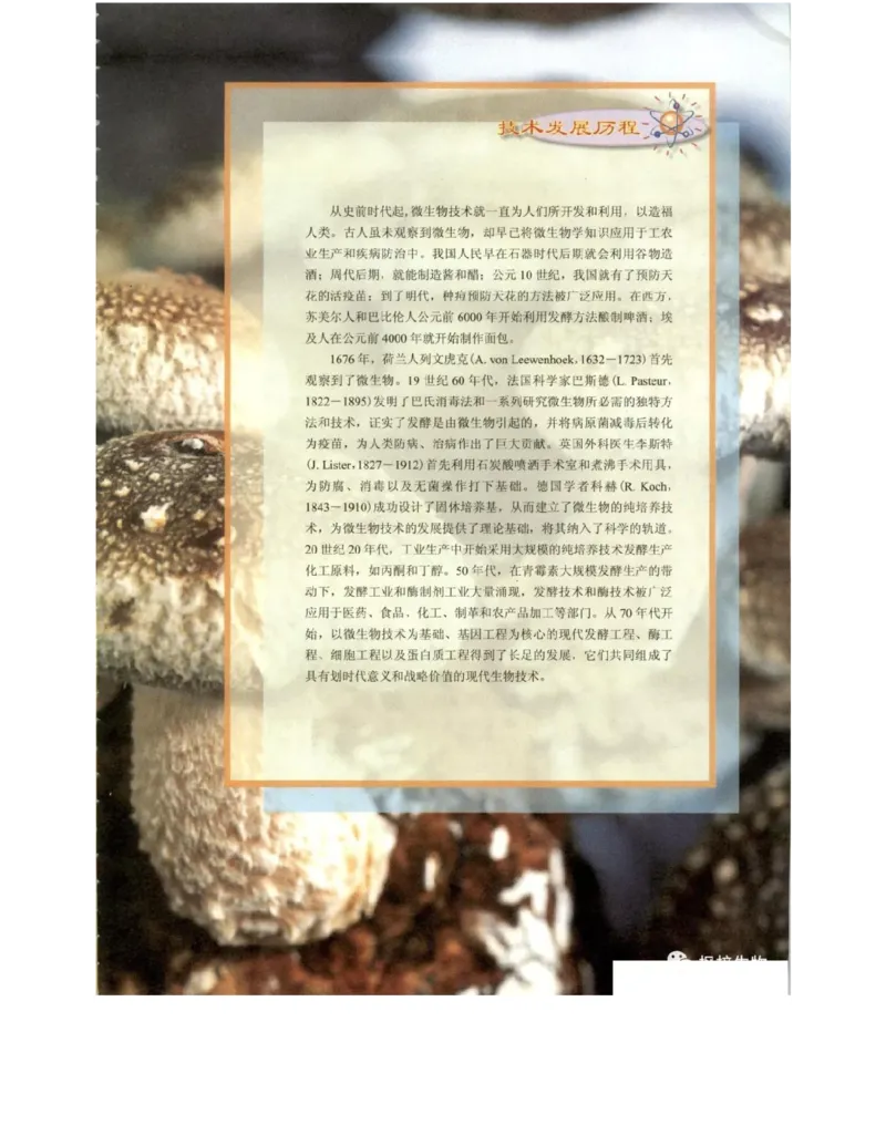 北师大版高中生物选修1电子课本_4-教培资料-26年最新资料-同步更新_初中高中教资_03科三专项（进去保存报考的学科即可）_02科三专项（笔记真题思维导图教学设计版本二）