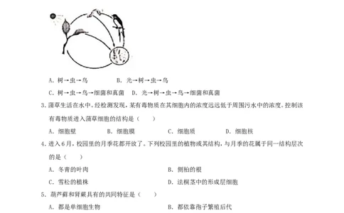 2019年威海市中考生物试题及答案_中考真题_8.生物中考真题2015-2024年_地区卷_山东省_山东威海生物12-20