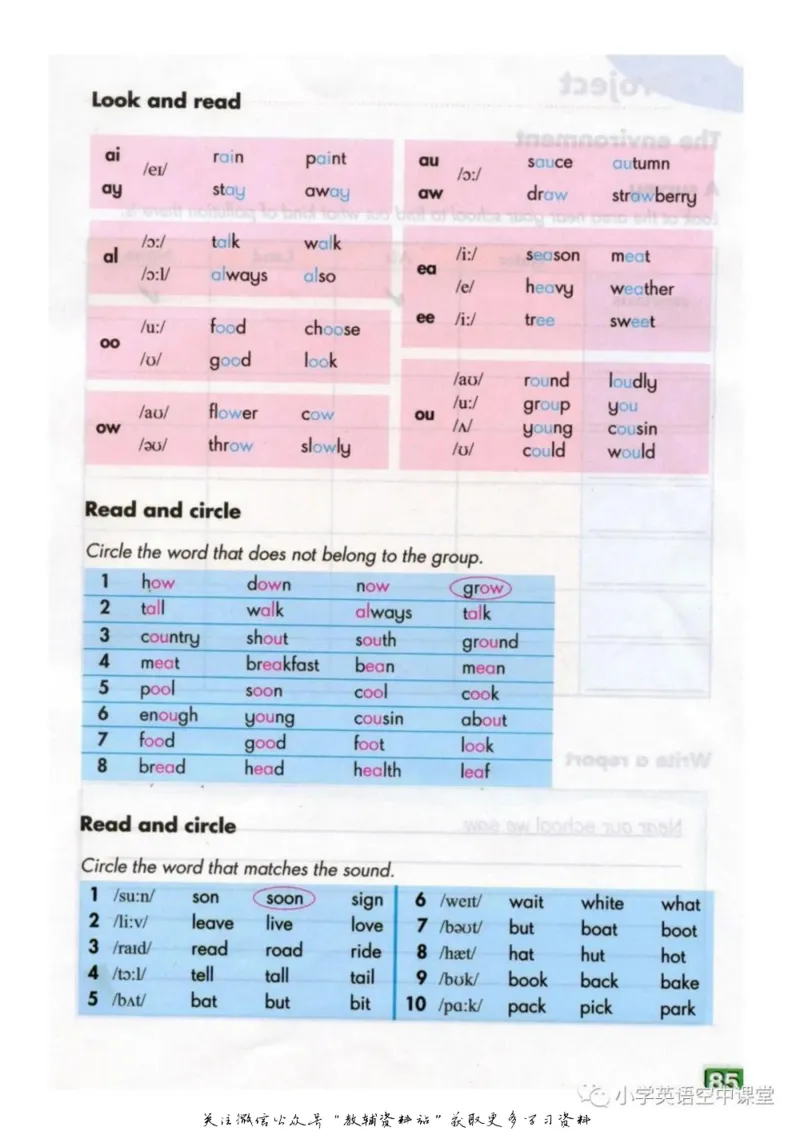 六年级上册英语上海牛津版电子课本_4-教培资料-26年最新资料-同步更新_初中高中教资_03科三专项（进去保存报考的学科即可）_02科三专项（笔记真题思维导图教学设计版本二）