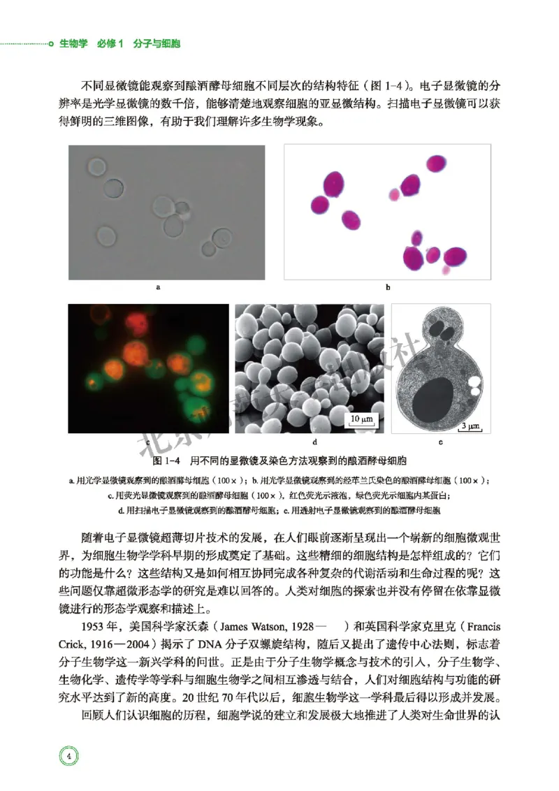 北师大生物必修1高清教材_4-教培资料-26年最新资料-同步更新_初中高中教资_03科三专项（进去保存报考的学科即可）_02科三专项（笔记真题思维导图教学设计版本二）