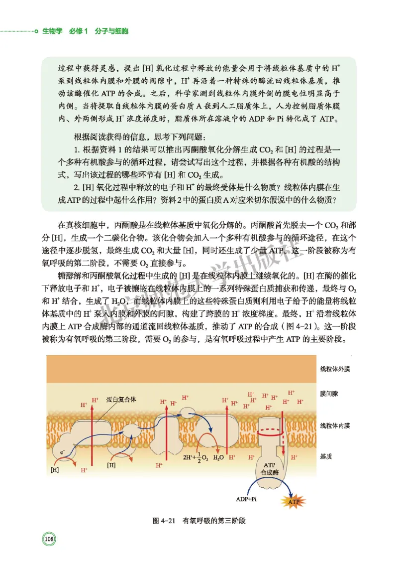 北师大生物必修1高清教材_4-教培资料-26年最新资料-同步更新_初中高中教资_03科三专项（进去保存报考的学科即可）_02科三专项（笔记真题思维导图教学设计版本二）