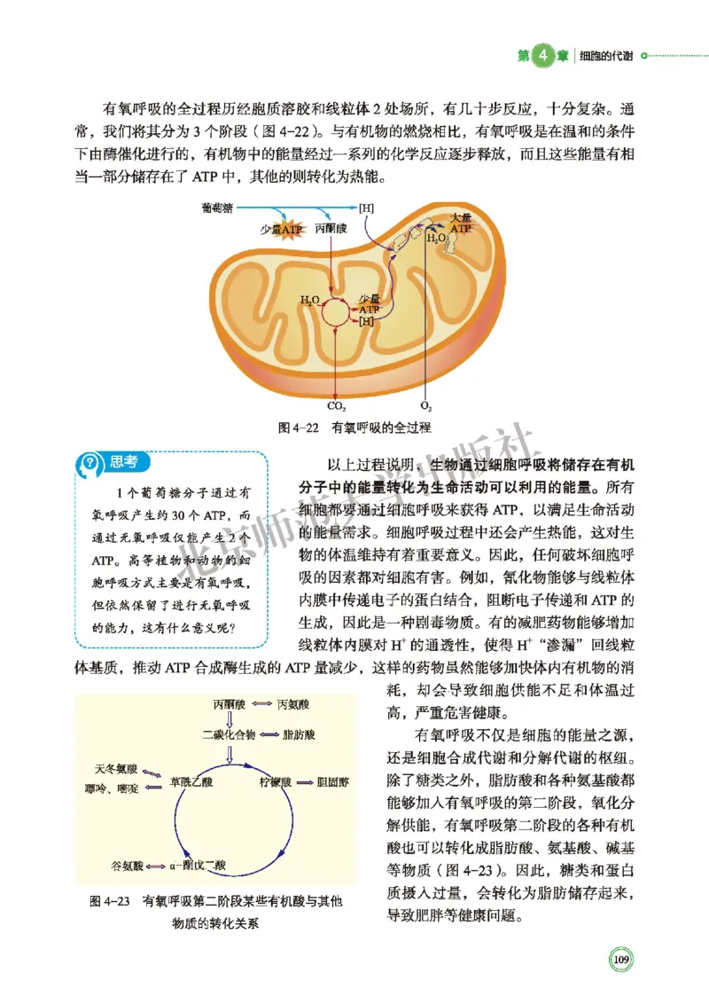 北师大生物必修1高清教材_4-教培资料-26年最新资料-同步更新_初中高中教资_03科三专项（进去保存报考的学科即可）_02科三专项（笔记真题思维导图教学设计版本二）