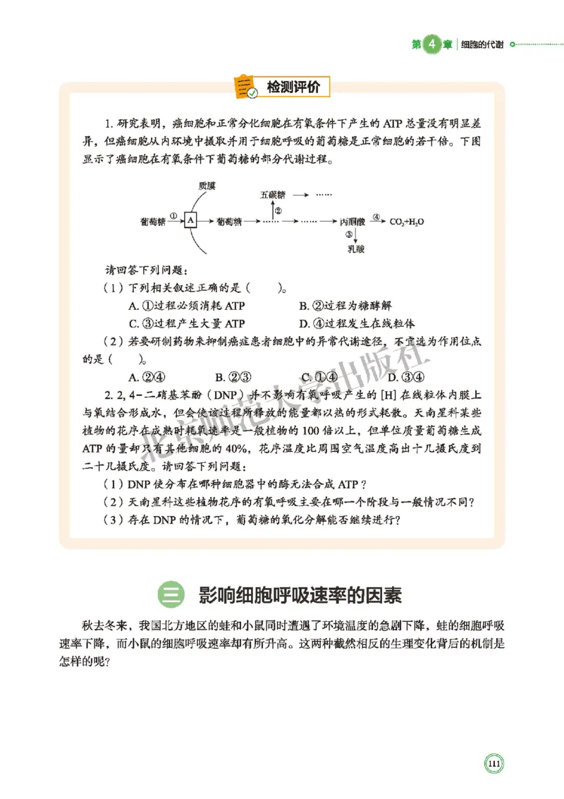 北师大生物必修1高清教材_4-教培资料-26年最新资料-同步更新_初中高中教资_03科三专项（进去保存报考的学科即可）_02科三专项（笔记真题思维导图教学设计版本二）