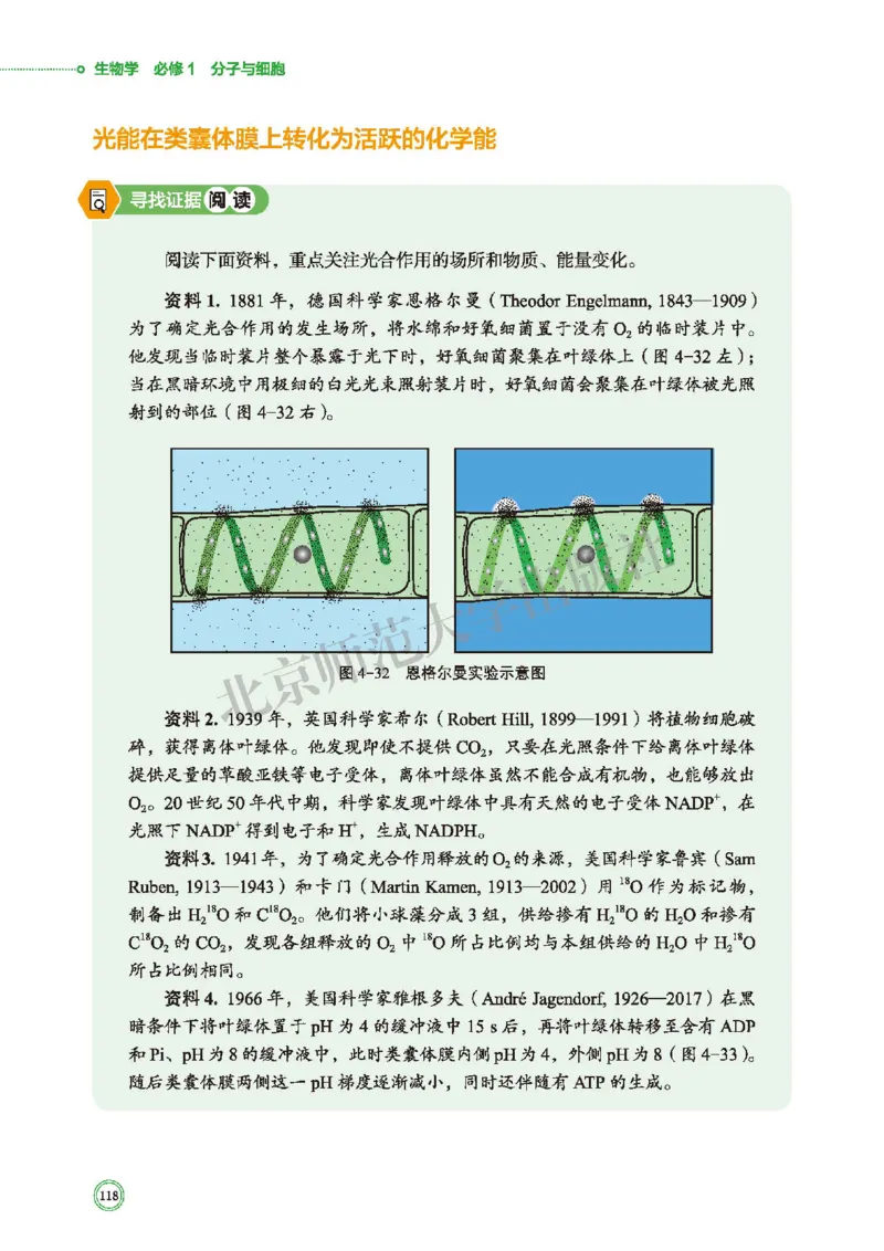 北师大生物必修1高清教材_4-教培资料-26年最新资料-同步更新_初中高中教资_03科三专项（进去保存报考的学科即可）_02科三专项（笔记真题思维导图教学设计版本二）