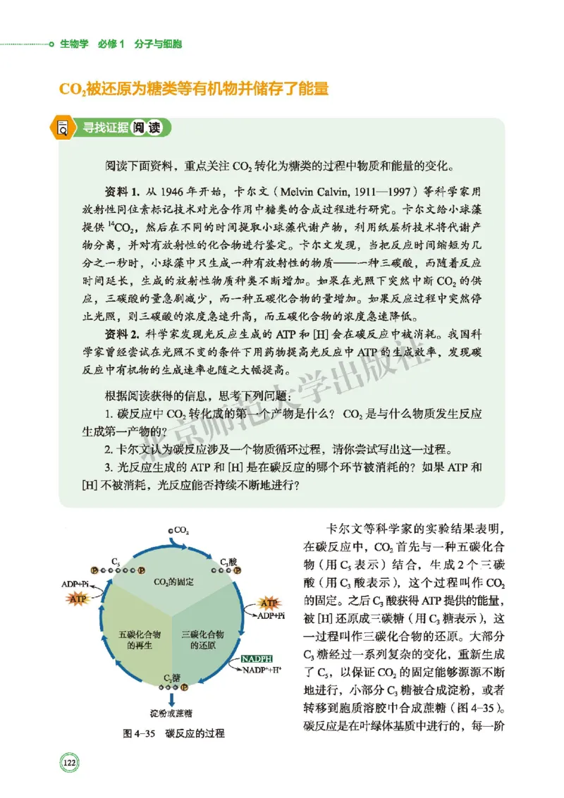 北师大生物必修1高清教材_4-教培资料-26年最新资料-同步更新_初中高中教资_03科三专项（进去保存报考的学科即可）_02科三专项（笔记真题思维导图教学设计版本二）
