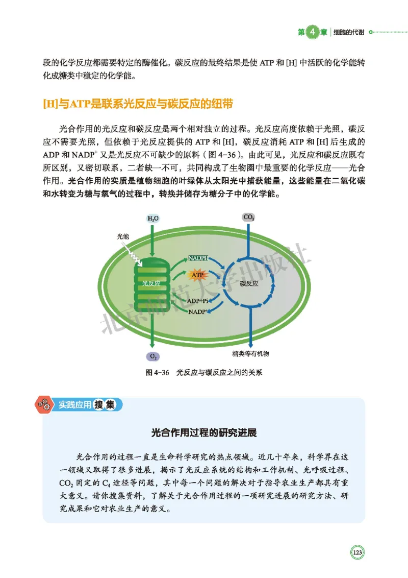 北师大生物必修1高清教材_4-教培资料-26年最新资料-同步更新_初中高中教资_03科三专项（进去保存报考的学科即可）_02科三专项（笔记真题思维导图教学设计版本二）