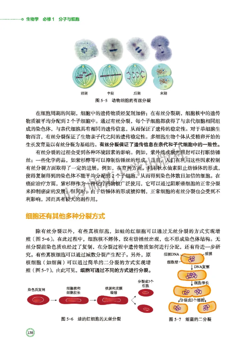 北师大生物必修1高清教材_4-教培资料-26年最新资料-同步更新_初中高中教资_03科三专项（进去保存报考的学科即可）_02科三专项（笔记真题思维导图教学设计版本二）