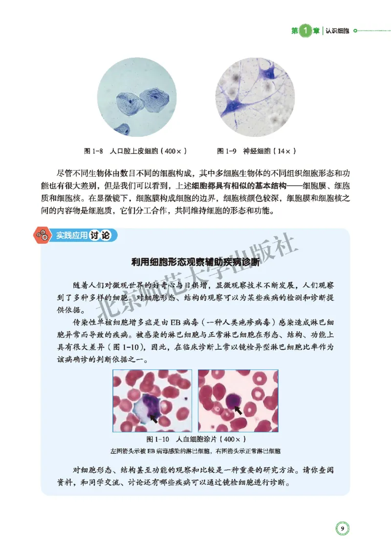 北师大生物必修1高清教材_4-教培资料-26年最新资料-同步更新_初中高中教资_03科三专项（进去保存报考的学科即可）_02科三专项（笔记真题思维导图教学设计版本二）